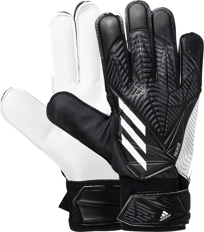 adidas Predator Training