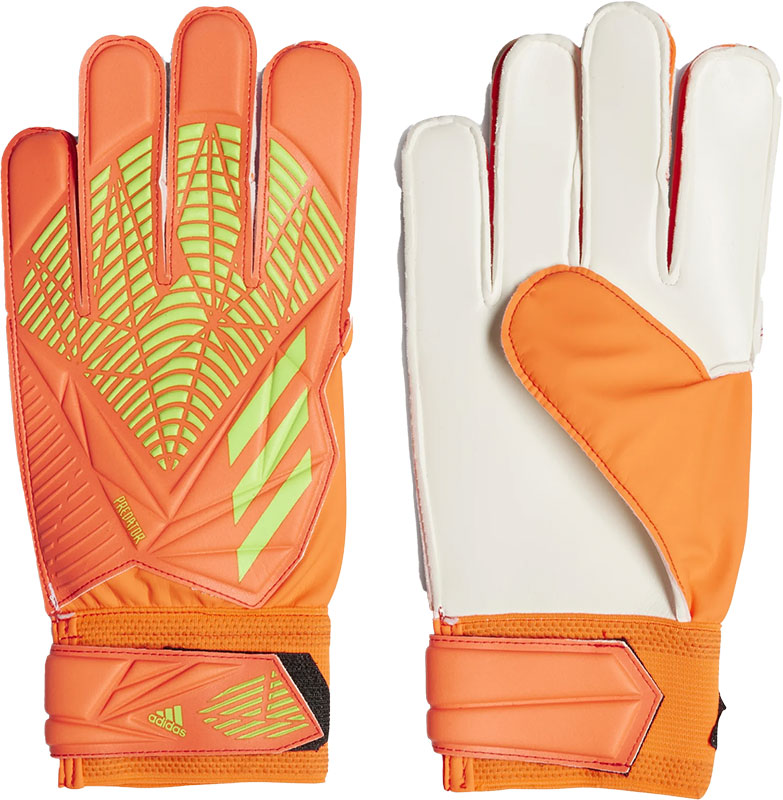 adidas Predator Training