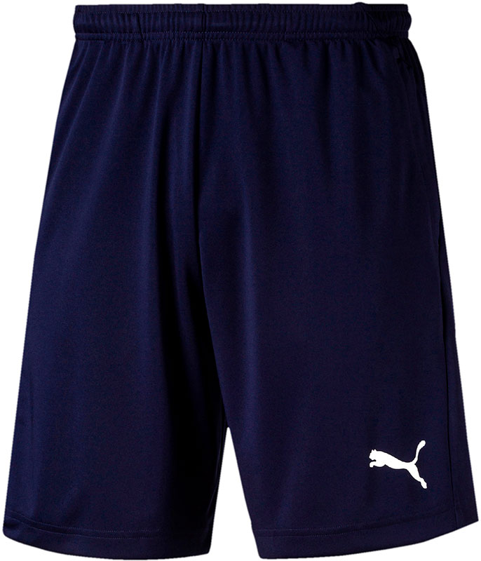 Puma Goal 23 Training Short - Sportbroeken - Dark Blue - Mannen
