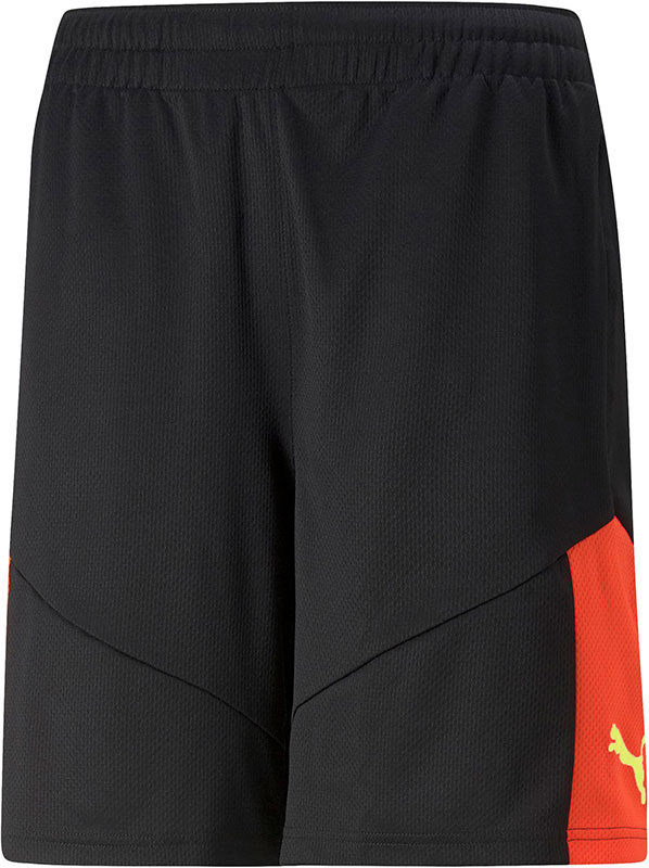 Puma FINAL Training Short
