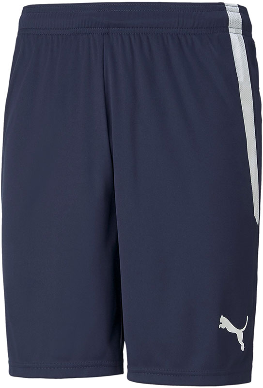 Puma LIGA Training Short