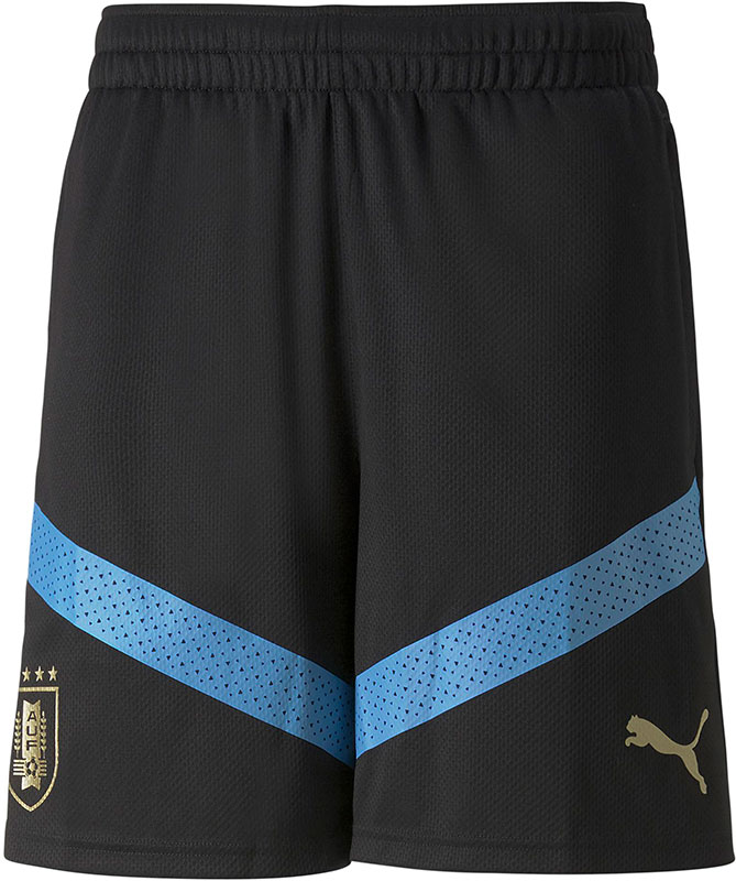 Puma Uruguay Training Short 2022/2023