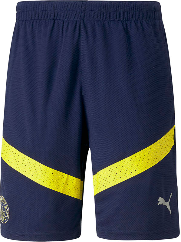 Puma Fenerbahce Training Short 2022/2023