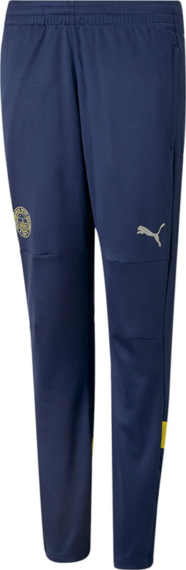 Puma Fenerbahce Training Pant 2022/2023