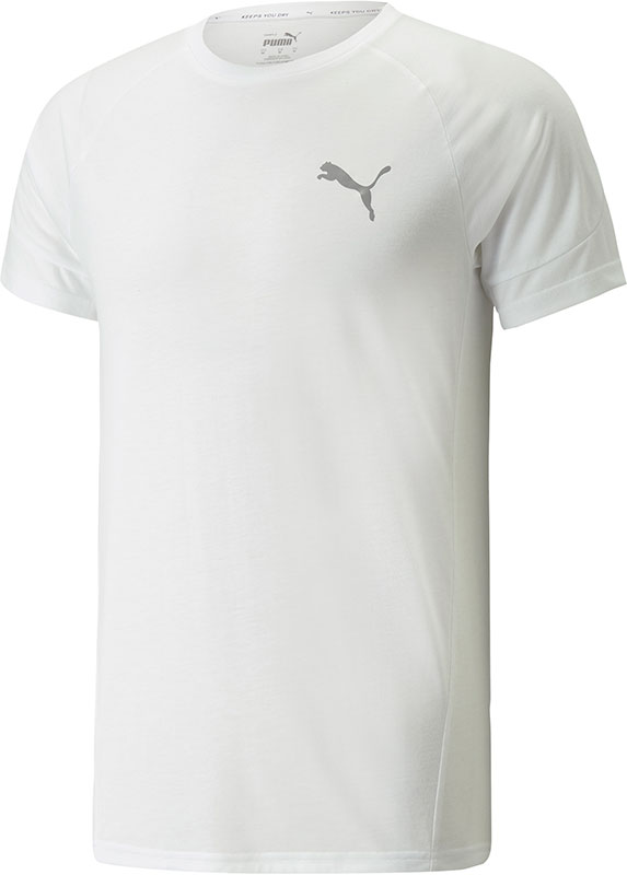 Puma Evostripe Training Shirt