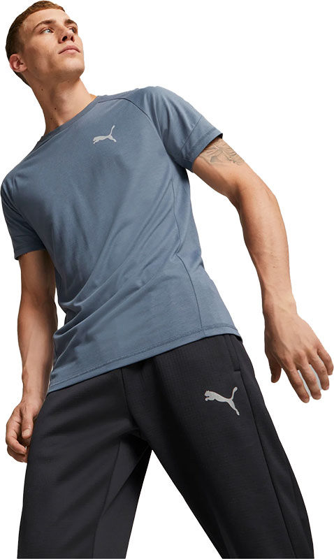 Puma Evostripe Training Shirt