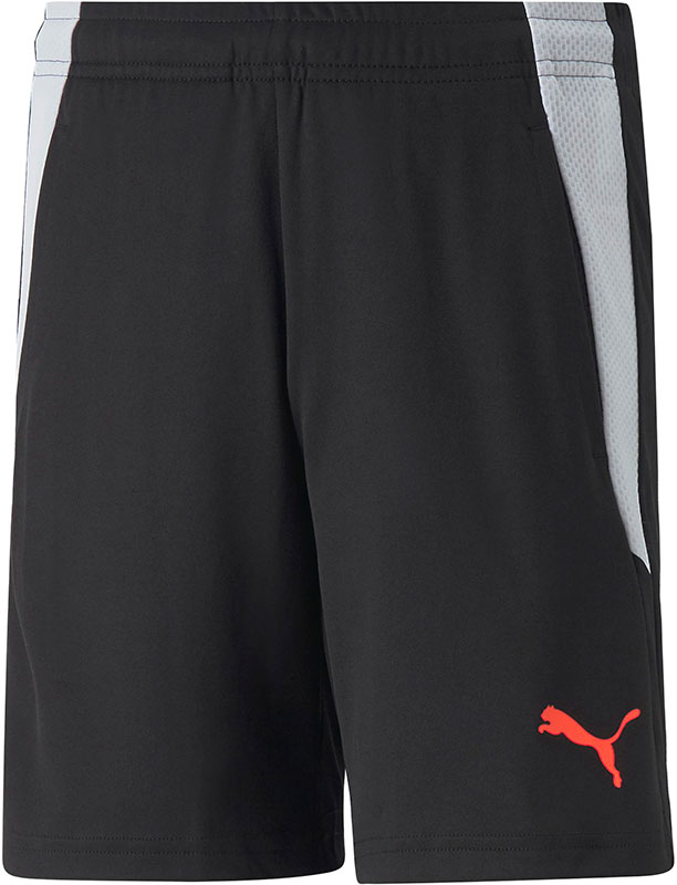 Puma LIGA Training Short