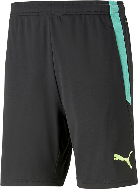 Puma LIGA Training Short