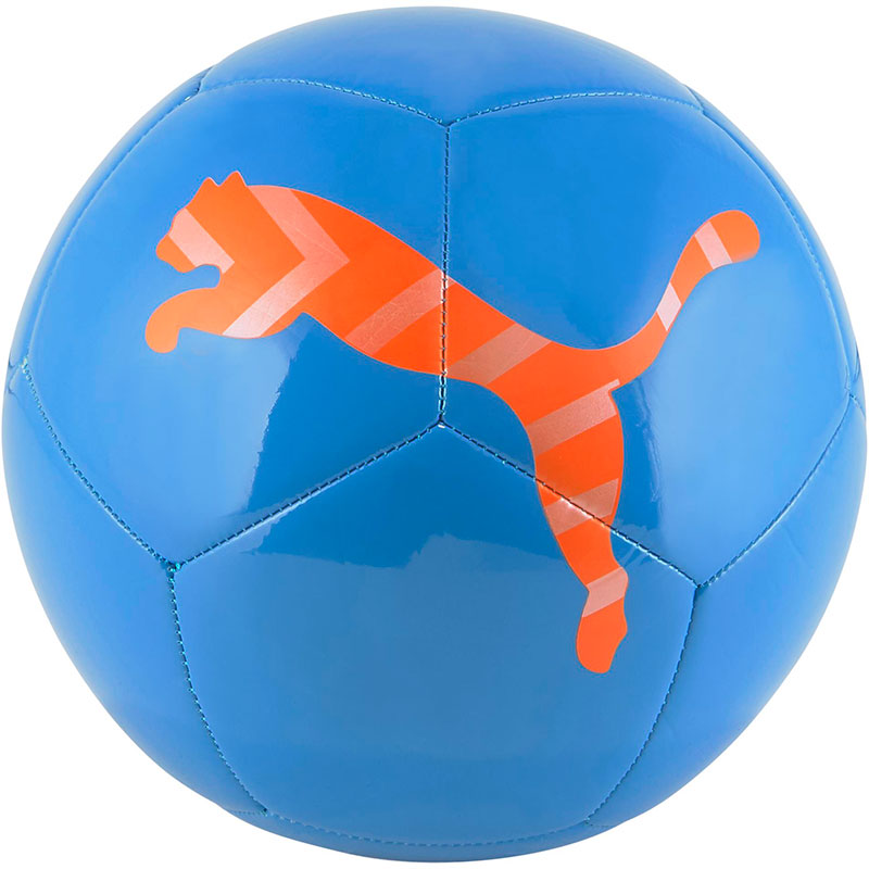 Puma Icon Bal - Maat 5